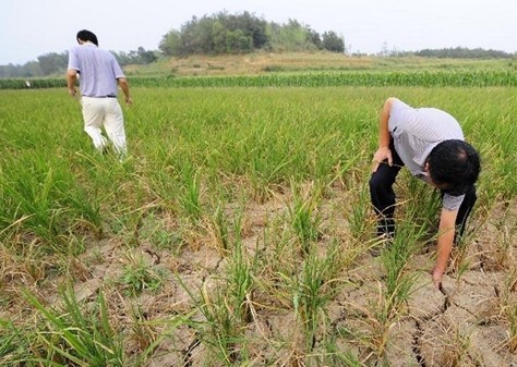 �e�O����